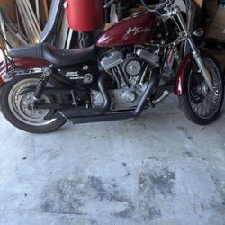 Harley Davidson 883 Sportster 