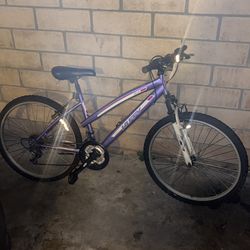Huffy 7 Speed