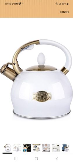 Stainless Steel Teakettle Teapot with Cool Touch Ergonomic Handle, With 1 Silicone Pinch Mitt Included, 2.64 Quart(WHITE)