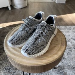 Yeezy 350 Turtle Five