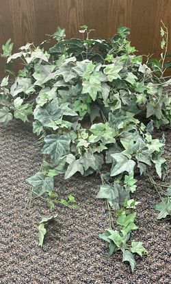 Synthetic house plant 14” tall. For home or office use.