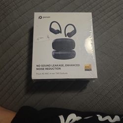 Translator earbuds