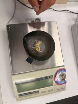 3D lion 14k yg crystals 14.4gm