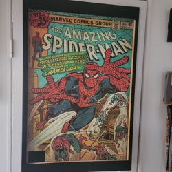 Spider-Man Wall Art