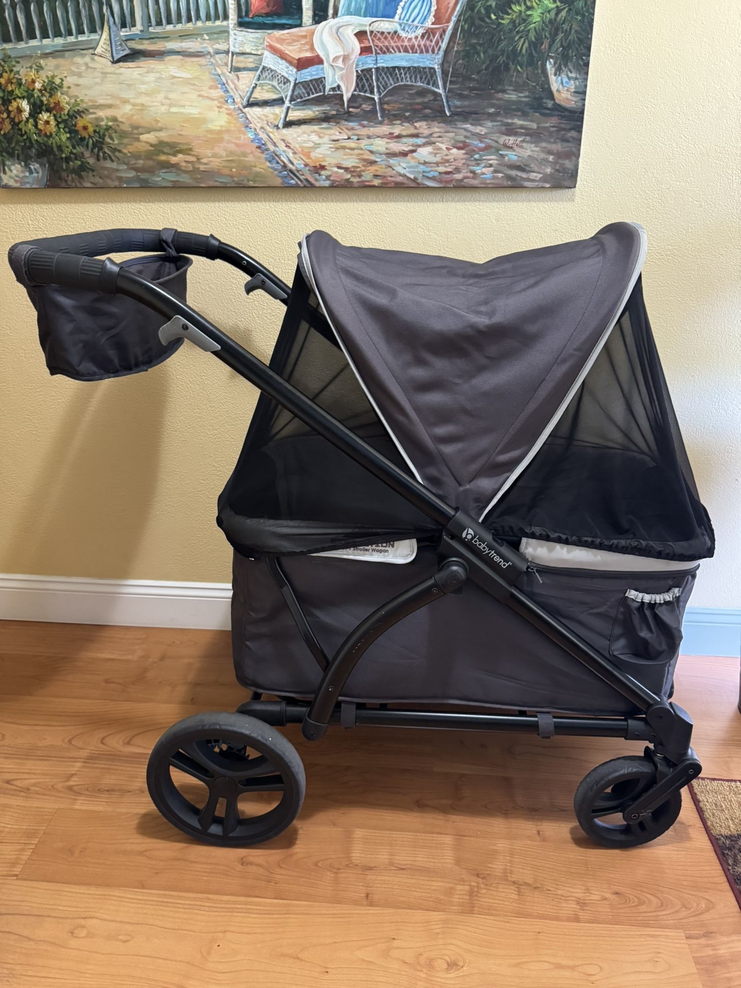 Babytrend Stroller Wagon
