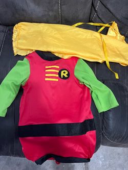 DC comics robin dog costume