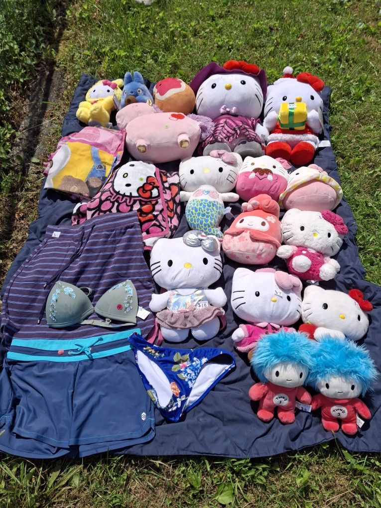 Hello Kitty Garage Sale Haledon NJ 7/5/25