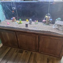 155 Gallon Fish Tank With Everything In The Tank Plus More 