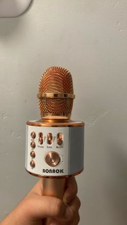 Karaoke mic