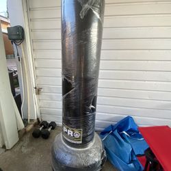 Large Punching Bag