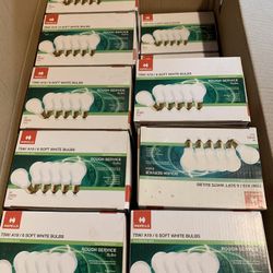 Light Bulbs 75 Watt Incandescent Rough Service Bulbs.