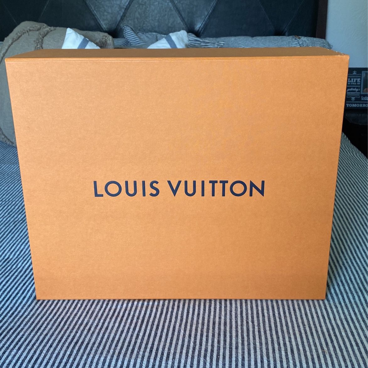 Louis Vuitton Shoes for Sale in Plano, TX - OfferUp
