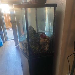 Fish Tank