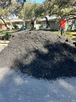 Mulch 