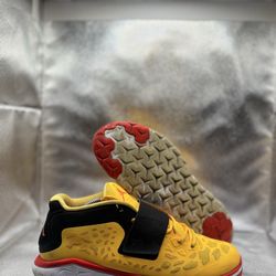 Air Jordan flight flex trainer 2 university gold