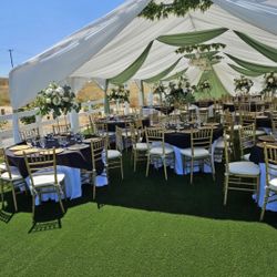 Canopy With Drapping 