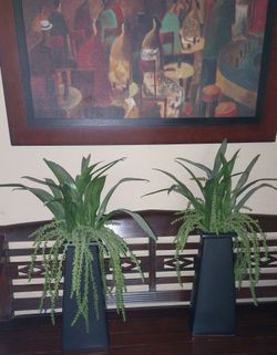 Two Pier one vases