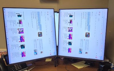 (2) 28” LG DualUp Monitors (28MQ780)