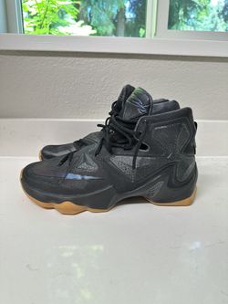 LeBron 13 ‘Black Lion’ (2016)