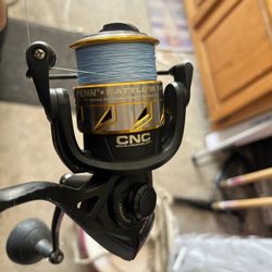 Penn Battle III 5000 Spinning Reel & 7’ Star Rod 