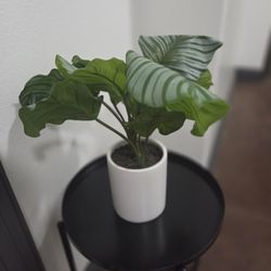 Medium Fake Plant