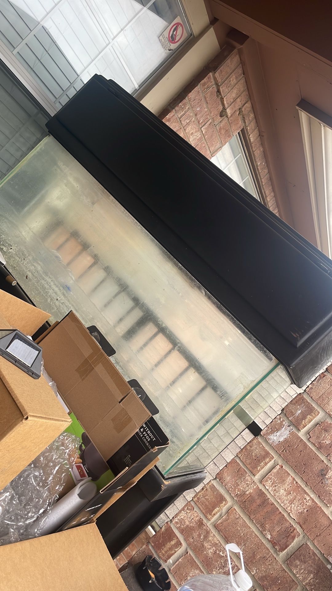 Fish Tank