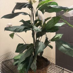 artificial rose tree