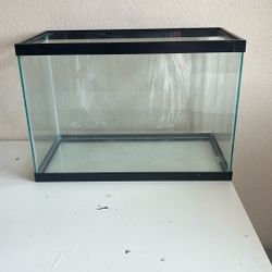 20 Gallon Tall Fish Tank
