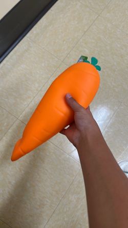 Carrot squishy