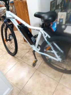 5 wheel e bike