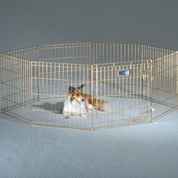 Gold Zinc Exercise Pen 24” H