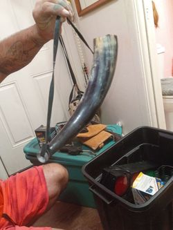 Viking Drinking Horn with Leather Strap