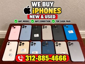 iPhone Pro & Pro Max Models