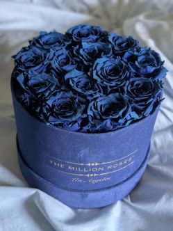 Dried Roses - The Million Roses classic blue in suede box -Used