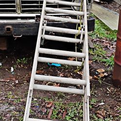 Orchard Extension Ladder