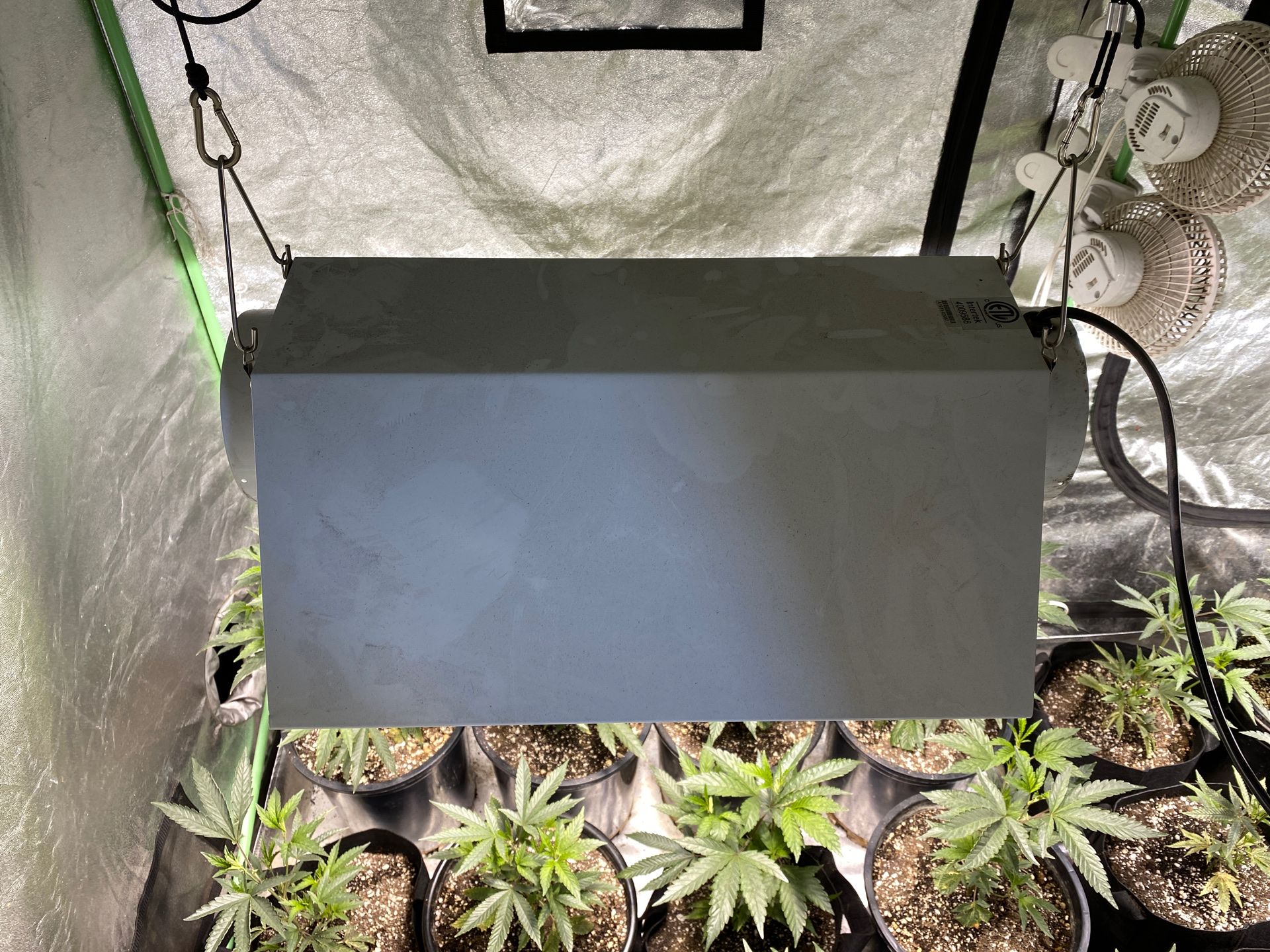 VIVOSUN 600 watt GROW LIGHT