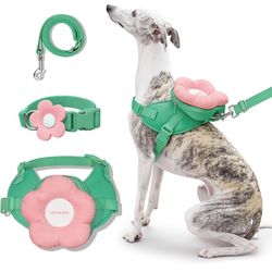 VETRESKA Flora Dog Harness, Leash and Collar Set, No Pull Dog Vest Harness for Walking and Training, Adjustable, Easy Control and Soft Padded Pet Harn