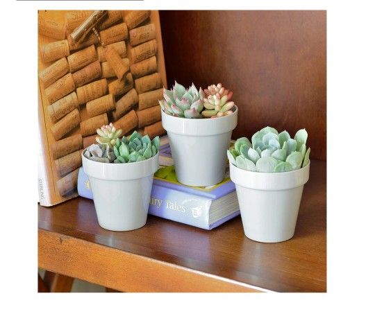Youngever 8 Pack 5.5 Inch Plastic Planters Indoor Flower Plant Pots, Classic Decorative Gardening Pot with Drainage Holes (Gray No Saucers)