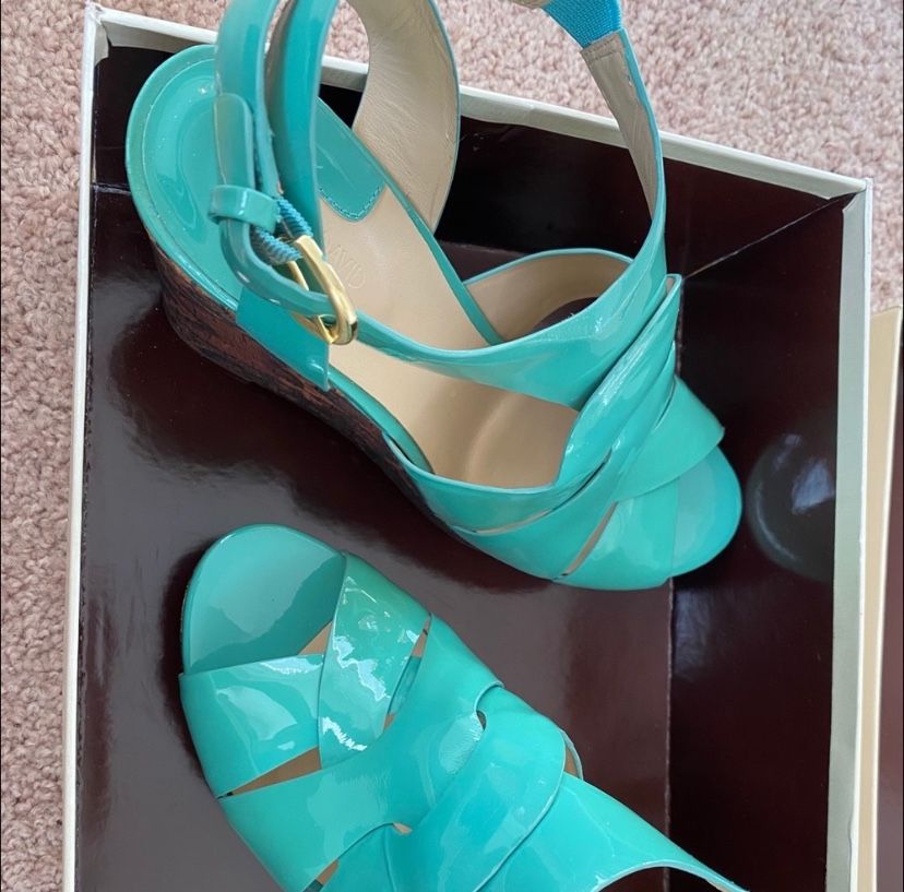JOAN & DAVID -Brand New- Aqua and Snakeskin wedge
