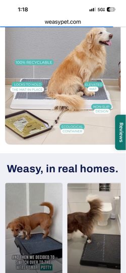 Indoor Potty for Dogs or Cats