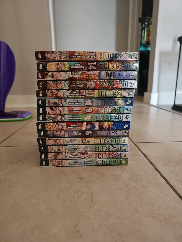 Dr Stone