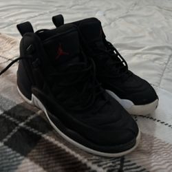 Air Jordan 12