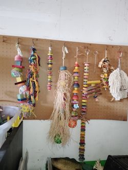 Bird Toys