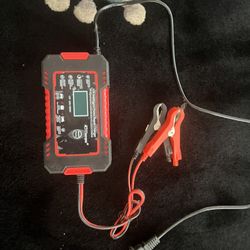Pulse Charger