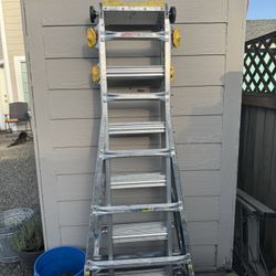 Gorilla Ladder - 22ft