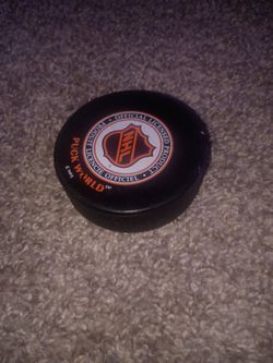 Hokey puk