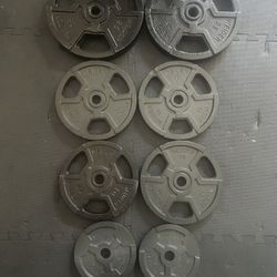 Weider Weight Plates 