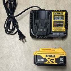 DeWalt 20V Max XR 5.0Ah Battery And Charger