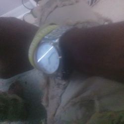 Vvs Watch 