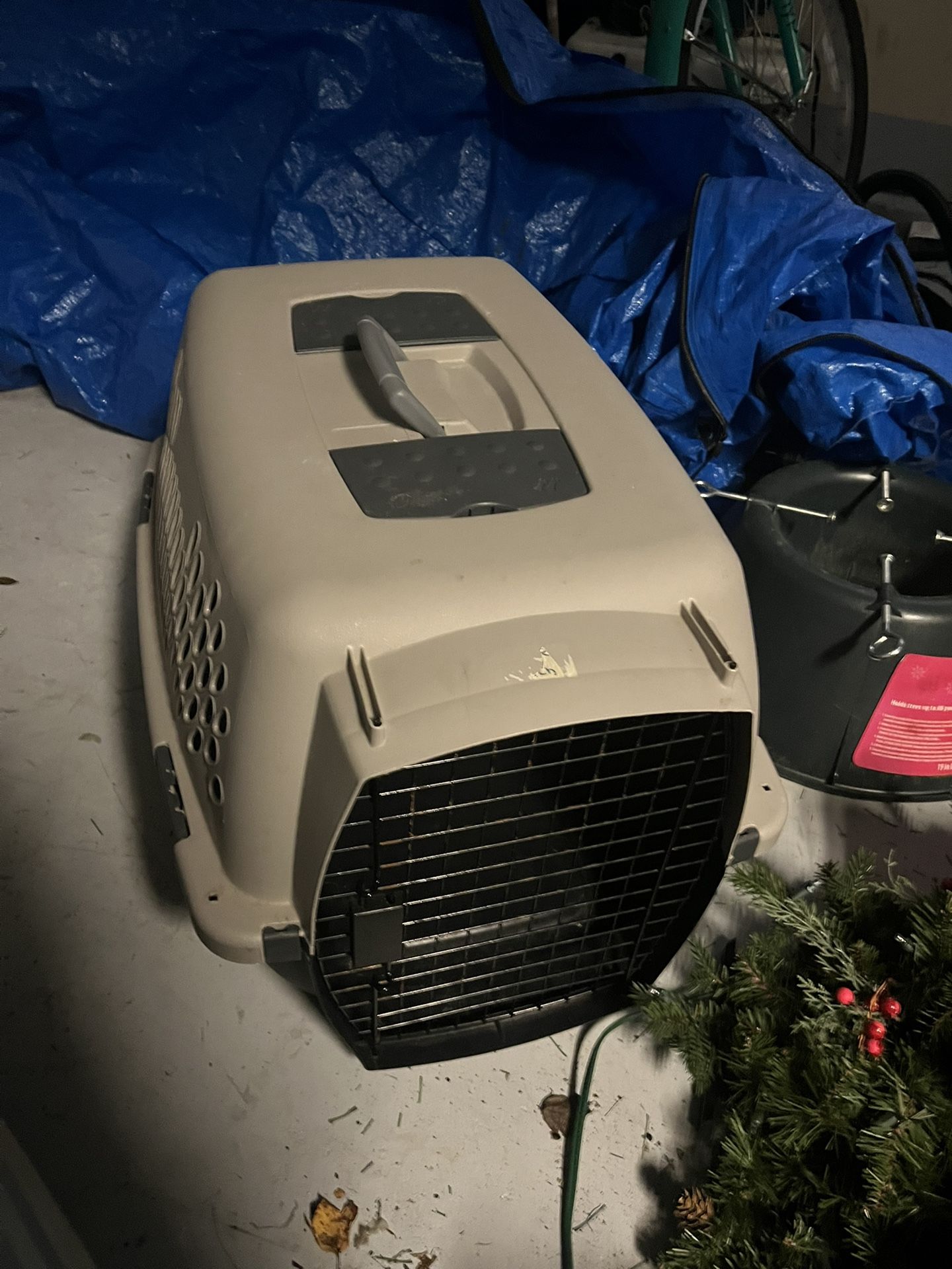 Medium Size Dog Grade Approximately 30 Inches Long